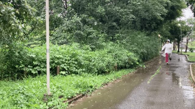 スクリーンショット 2022-07-27 15.19.51.png