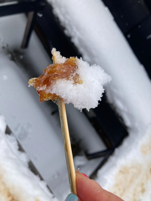 with snow.JPG