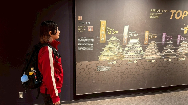 image_s034.jpg