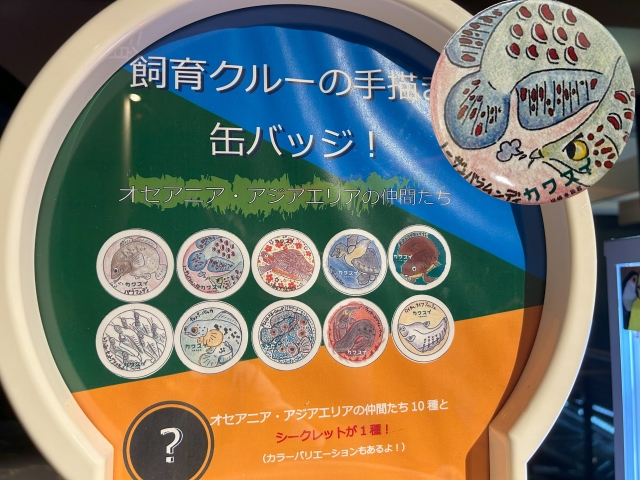 ガチャポンの上には「飼育クルーの手書き缶バッジ」と書かれている。ノーザンバラムンディの手書きの缶バッジが当たった。