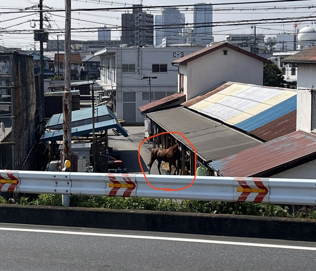image_s022.jpg