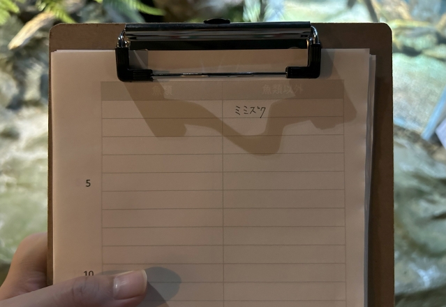 ボードに白い紙が挟まっており、紙には「魚類」「魚類以外」の2つの列からなる空の表が書かれている