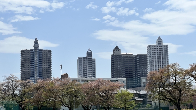 06.JPG