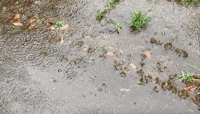 スクリーンショット 2022-07-27 13.57.35.png