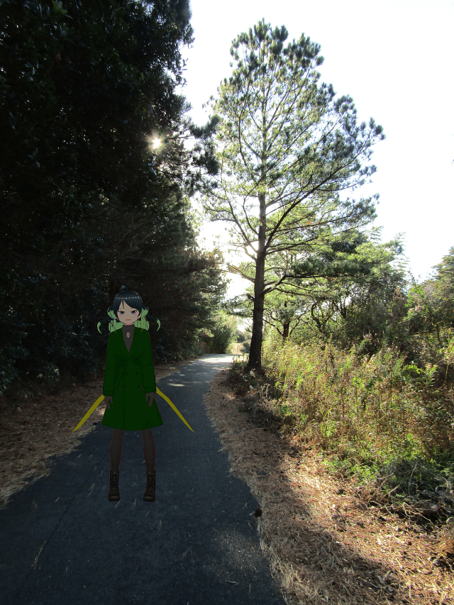 image_s028.png