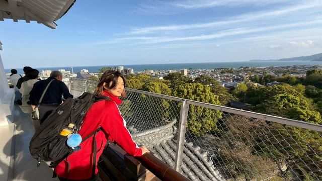 image_s035.jpg