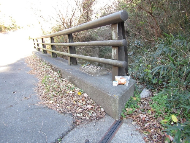 image_s024.jpg