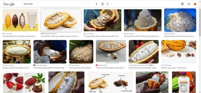 スクリーンショット 2022-12-06 033533.jpg