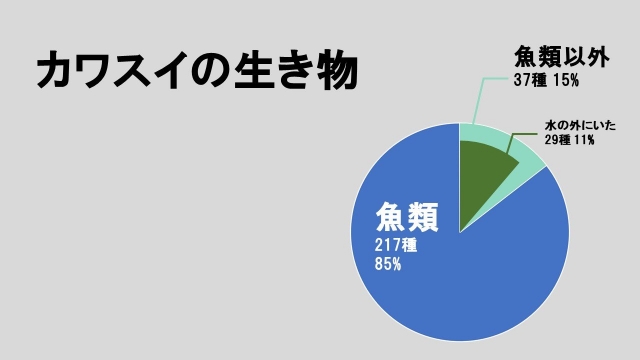 カワスイの生き物の魚類と魚類以外を示す円グラフ。魚類が85%。