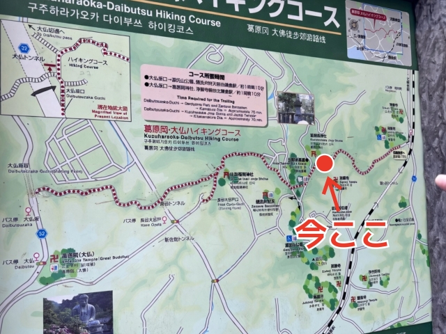 名称_未_設定 (68).jpeg