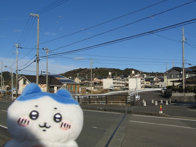 image_s030.jpg