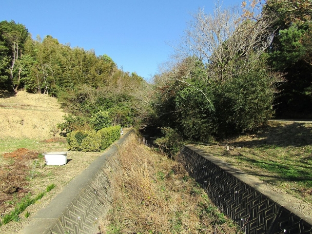 image_s021.jpg