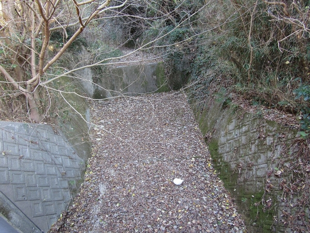 image_s023.jpg