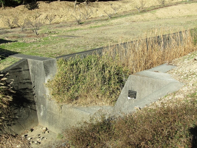 image_s019.jpg