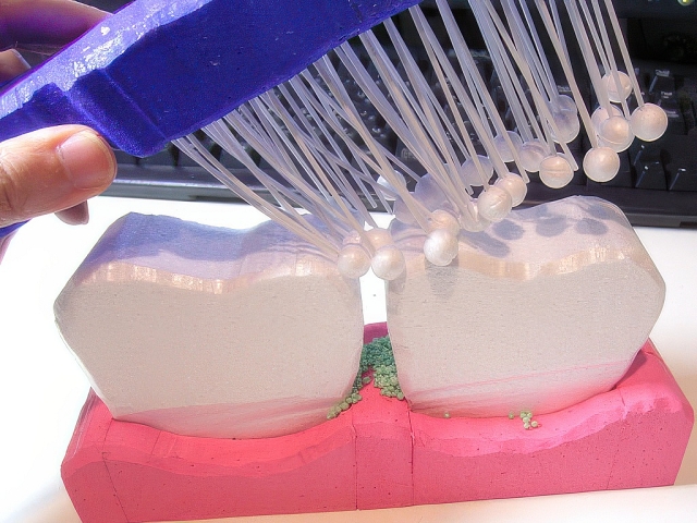 RIMG4694-topaz-standard v2-2x.jpg