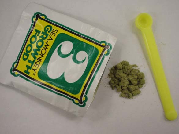 �V�[�����L�[�̃G�T