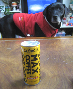 �Ȃ񂩊Â���