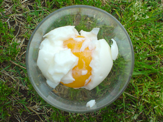 半熟とゆで卵の間の卵