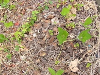 足元に線路の名残を見つけた。草に埋もれた茶色の石。