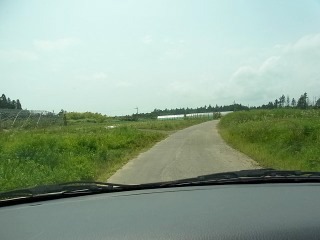 畑の中を突っ切る一本の細い車道。対向車が来たらどうしよう。