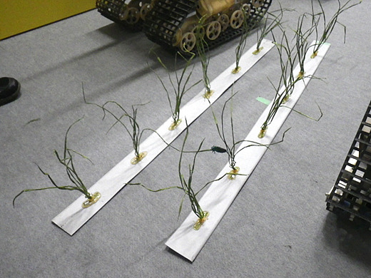 研究所手作りの、模擬稲。実地での検証は田植えの季節、年１回に限られるので大変だ。