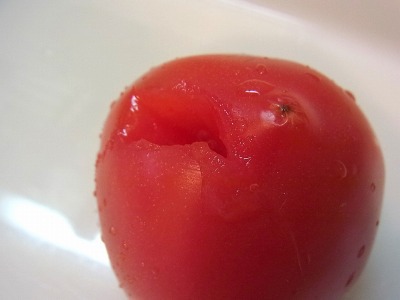 氷を抜いてみると、トマトに刺し傷