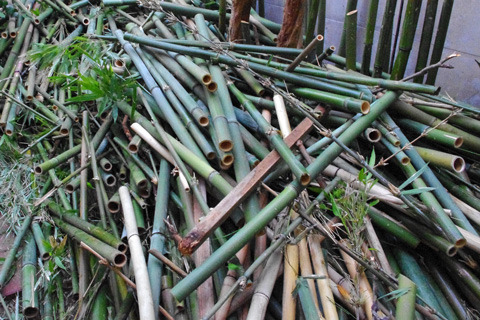 刈られた大量の竹。