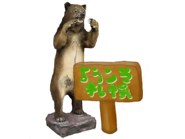 ♪北海剥製標本社 小熊 剥製 子熊 札幌♪ - インテリア雑貨/小物