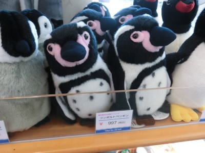 フンボルトペンギン自体のグッズはあった