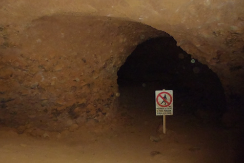 左右上下、トンネルは立体的なアリの巣迷路だ