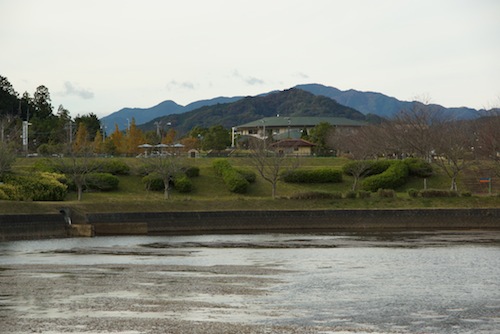 手前の水辺は天啓池。施設上のビオトープは反対側にあるのだ。