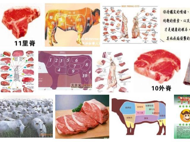 中国の肉の解説も日本のそれと同じで違和感はない