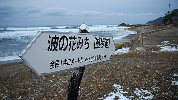 そんな日本海を見ながら波の花みちを歩く