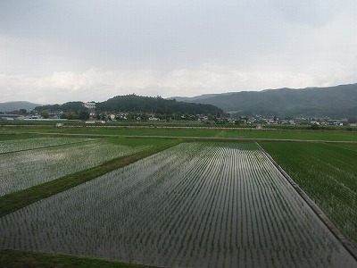 長野は山、というか緑がとても多い。今日はこの中から｢白｣を探し出す。