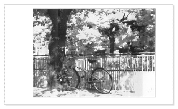 作品名『公園の放置自転車』