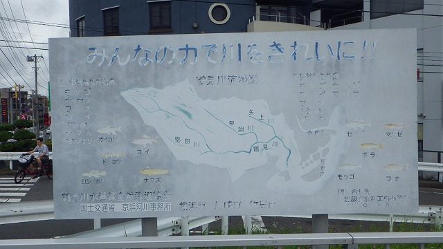 消えかけている看板には鶴見川に暮らす魚たちの紹介が。でもアリゲーターガ―の名はさすがに無い。