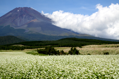 宝永火口というアクセントがあって、富士山はより魅力的な姿なんだろうな、と改めて思った