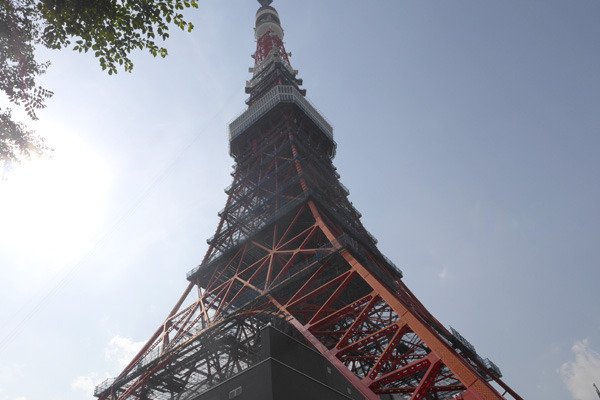 東京タワーなんて何回も見てるからなぁー……と思ってたら、改修工事中なのか足場が組まれていて新鮮なルックスでした