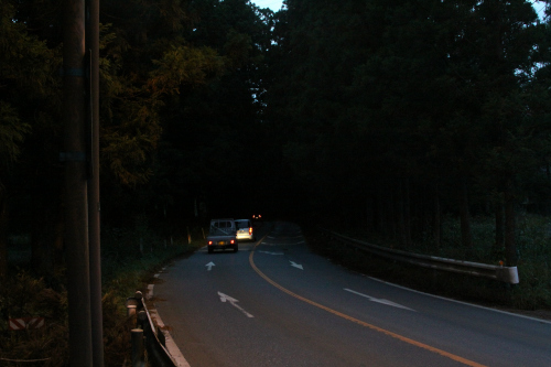杉並木はまだ続くが……道は真っ暗で、歩道も無い
