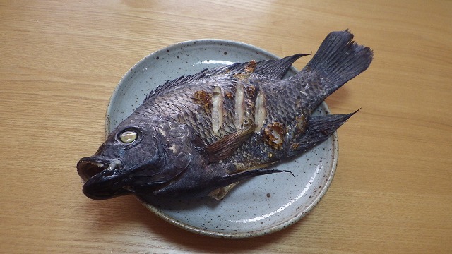 アフリカから来た 泉の鯛 ティラピア を食べる デイリーポータルz