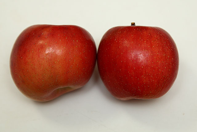 右側のリンゴが美人であり、セクシーだ。
