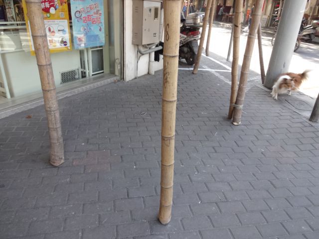 下を見ると竹が柱となり立っている。不思議な光景だ。