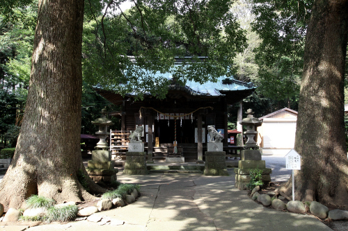 普段の五社神社はこんな感じ。境内には巨木が茂り、社殿もなかなか立派