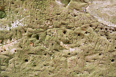 壁に掘られているのは古代文字…