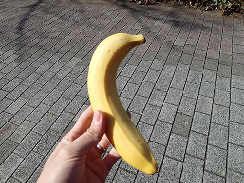 バナナは。