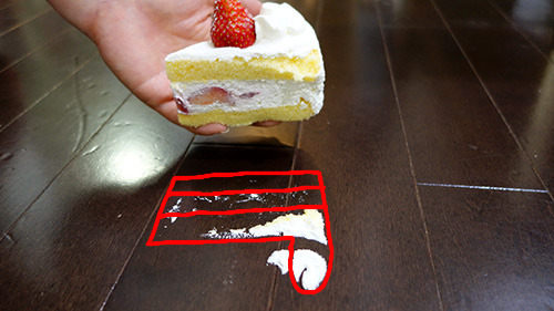 ケーキが設置した範囲を赤で描いてみた