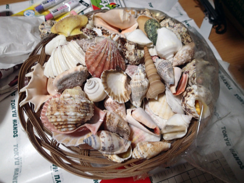 多種多様な貝詰め合わせをゲット
