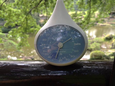 対してこちら日比谷公園35.8度℃。微妙に低い！