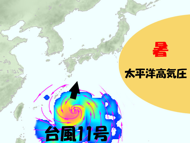 太平洋高気圧が東へ退き、台風に対してノーガード状態。               猛暑は落ち着いてくれるが、台風が…。
