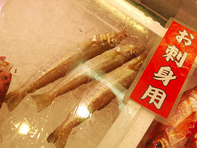 大型のシロギスが刺身用として売られているという魚力の高さ。